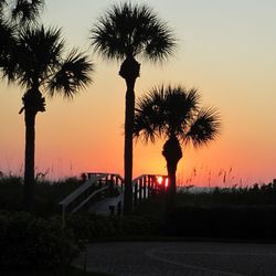 Silhouette of palm trees at sunset