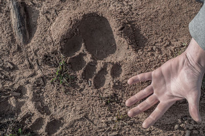 Close-up of human hand on sand