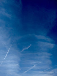 Low angle view of trees against blue sky