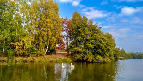 Scenic view of lake in forest against sky