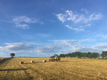 Scenic view of agricultural field against blue sky