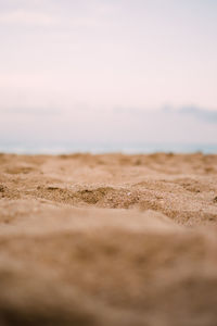 Surface level of sand on beach against sky