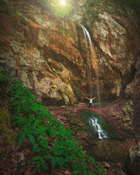 Scenic view of waterfall in forest