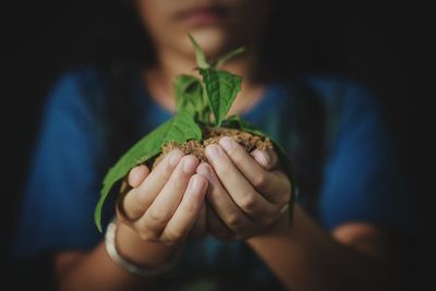 Close-up of hand holding small food