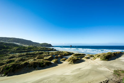 Scenic view of beach and sea