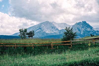 Scenic view of field and mountains against sky