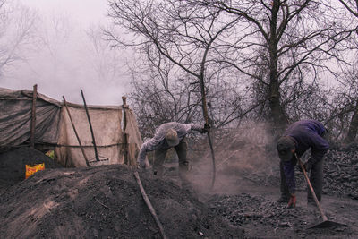 Men working on field against bare trees