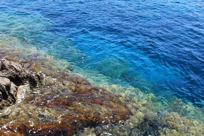 High angle view of sea shore