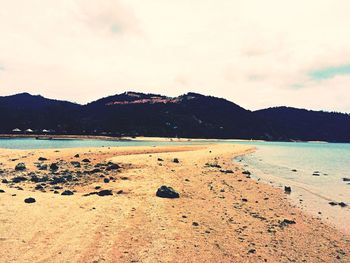 Scenic view of beach against sky