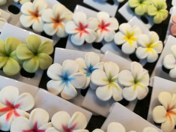 High angle view of white flowers on table