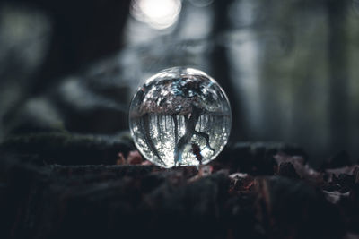 Close-up of crystal ball in forest