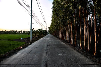 Empty road along plants and trees against sky