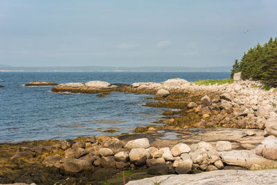 Rocks by sea against sky