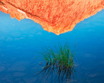 High angle view of rock by sea