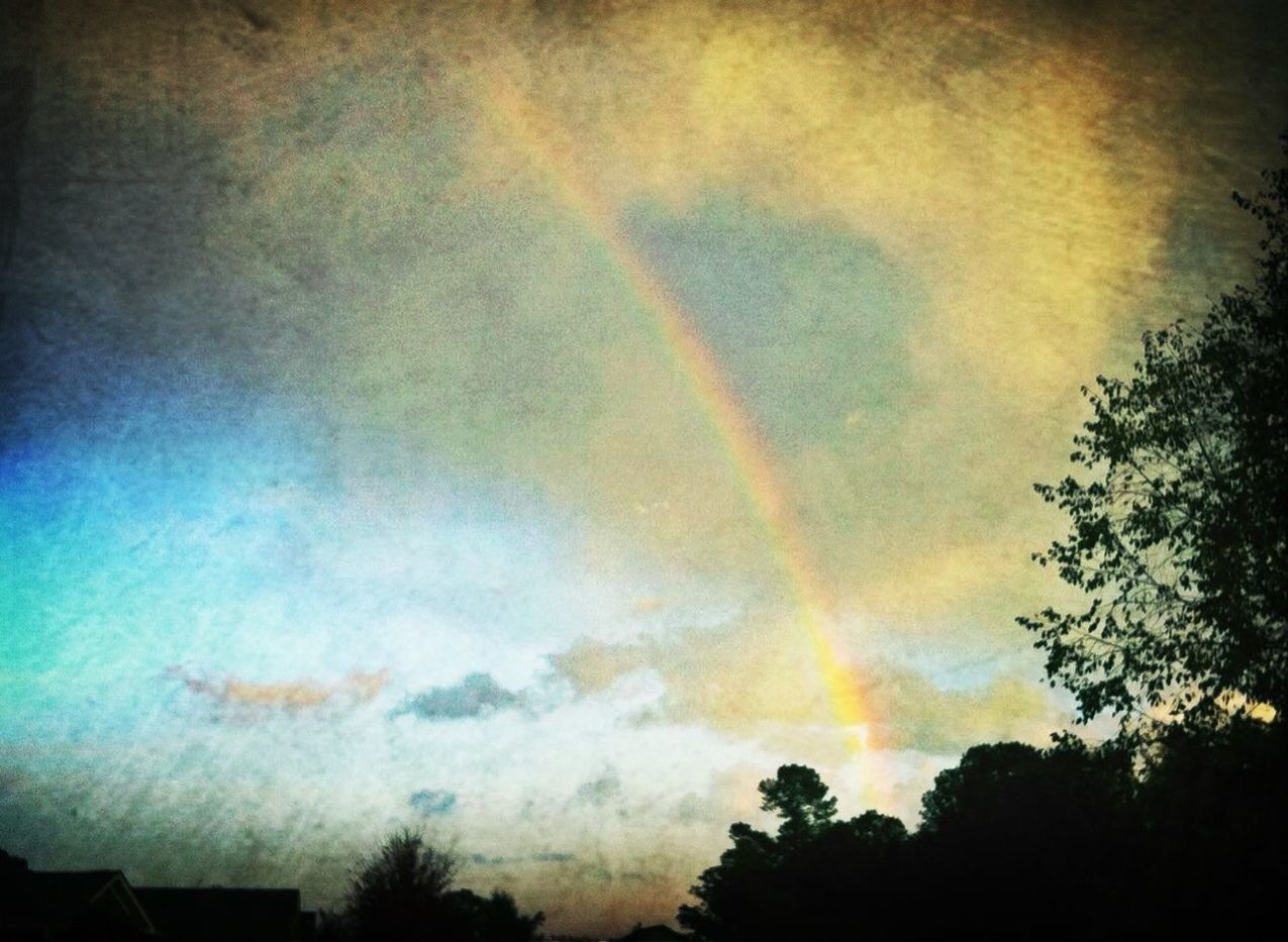 sky, tree, beauty in nature, scenics, silhouette, cloud - sky, tranquility, low angle view, tranquil scene, nature, sunset, dusk, idyllic, cloudy, cloud, dramatic sky, outdoors, weather, rainbow, no people