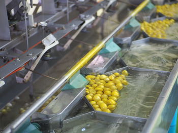 High angle view of fruits for sale in factory