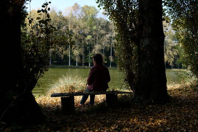 Rear view of mature woman sitting in forest