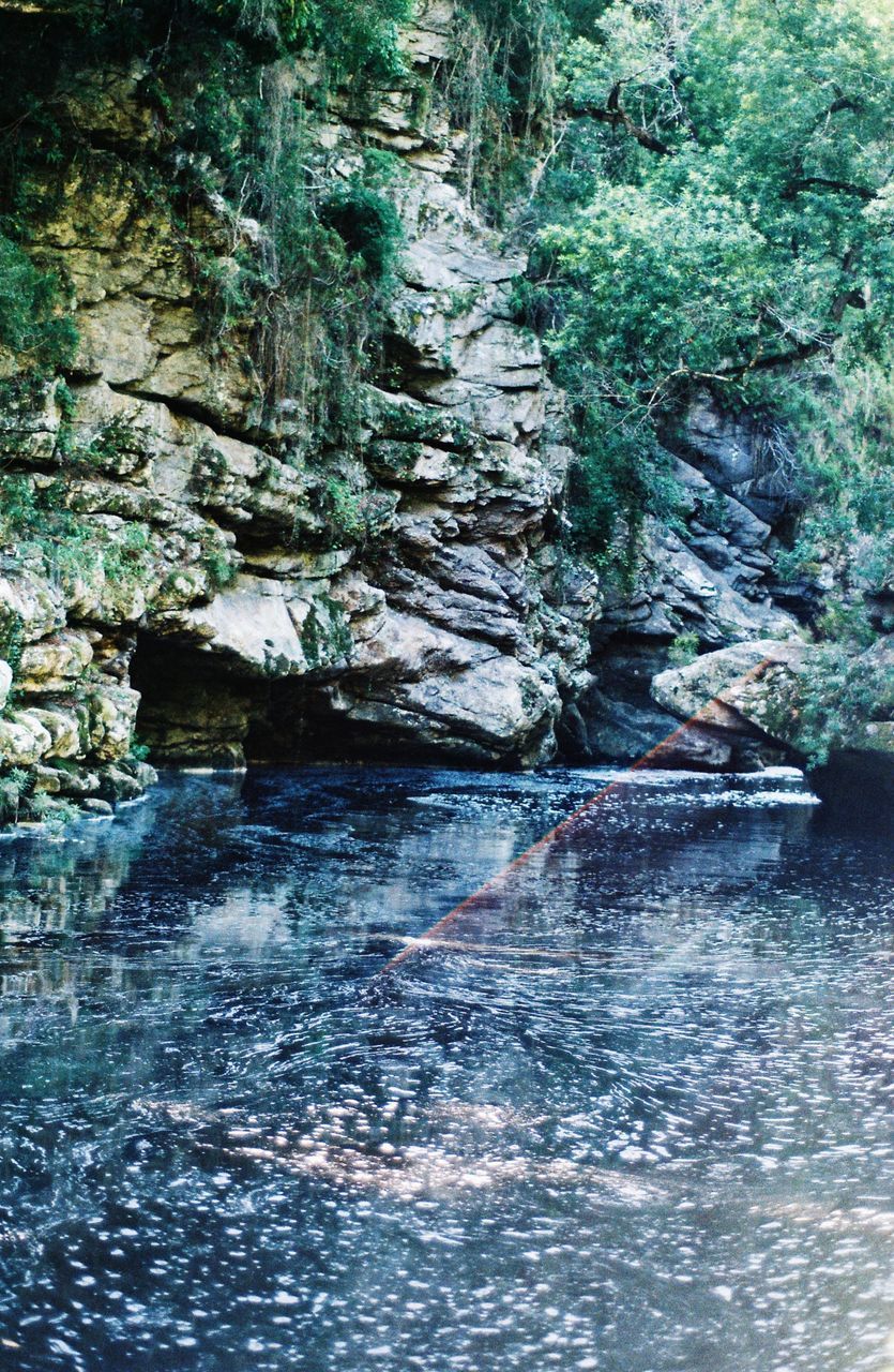 RIVER FLOWING THROUGH FOREST