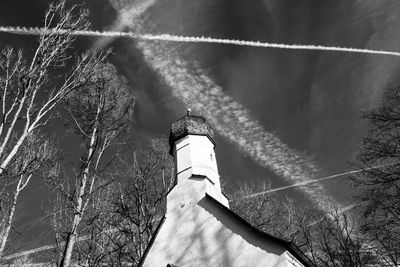 Close-up of tree against sky