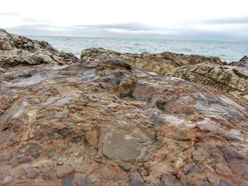 Close-up of sea shore against sky