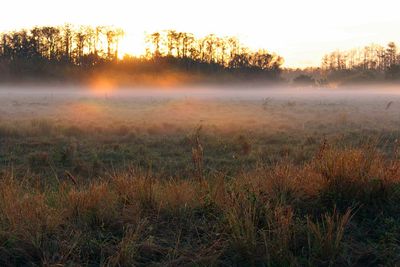 Scenic view of field against sky during sunset