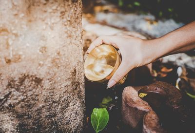 Cropped hand pouring water on tree trunk