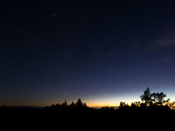 Silhouette trees against sky at night