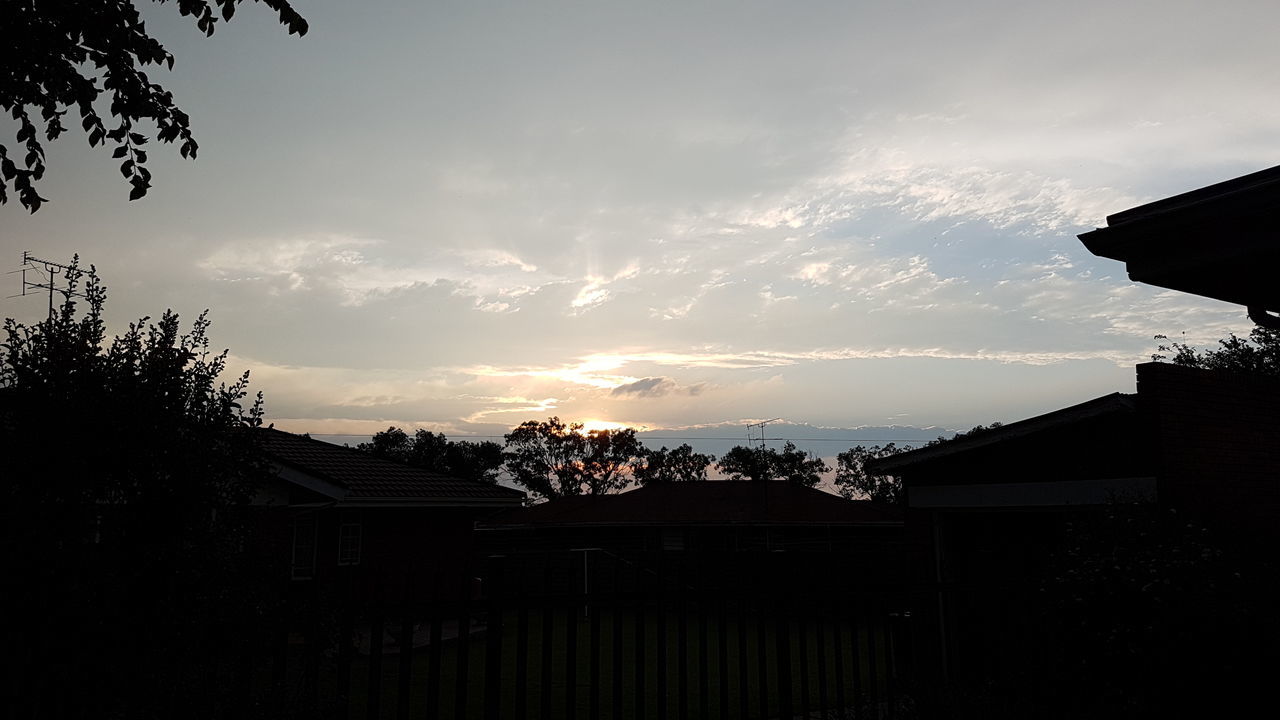 LOW ANGLE VIEW OF SILHOUETTE TREE AGAINST SKY