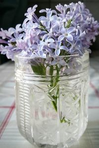 Close-up of flowers in glass vase