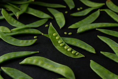 Full frame shot of green leaves