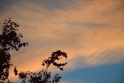 Low angle view of silhouette tree against sky at sunset