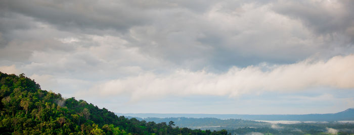 Panoramic view of trees on landscape against sky