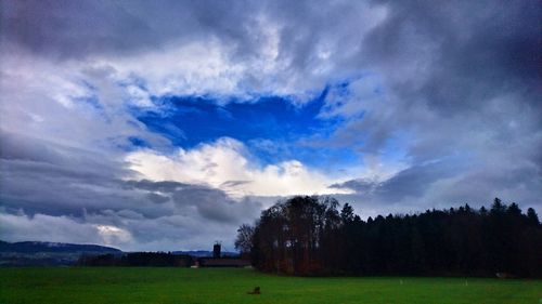 Trees on field against sky