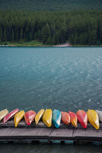 Multi colored flowers floating on lake