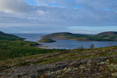 Bay on an island in the white sea. dwarf birches and moss are visible in the foreground. sunny day.