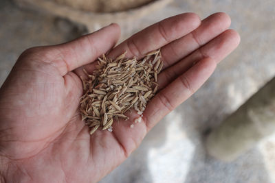 Close-up of hand holding food