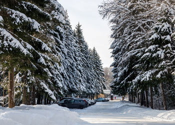 Road amidst trees against sky during winter