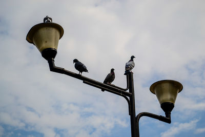 Low angle view of street light against sky