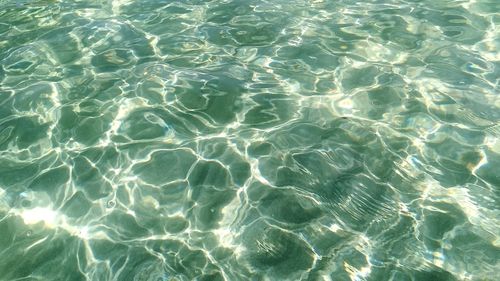 Full frame shot of swimming pool