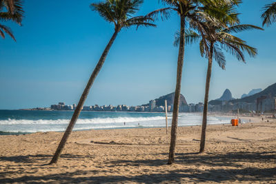 Palm trees on beach against sky