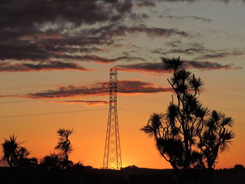 Low angle view of silhouette plants growing on field against sky during sunset