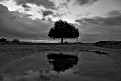 Trees on field by lake against sky