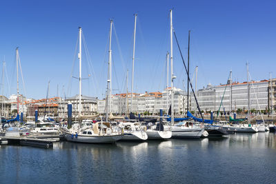 Sailboats moored in harbor