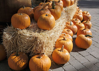 Thanksgiving and halloween - multiple pumpkins on and around stacks of hay