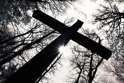 Sun shining through trees