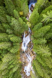 View of waterfall in forest