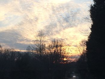 Bare trees at sunset