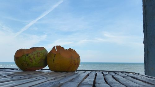 Coconuts on wood at sea against sky