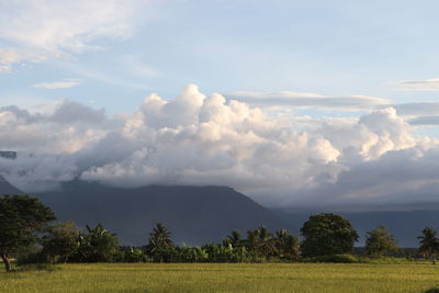 Scenic view of field against sky
