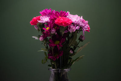 Close-up of flowers in vase